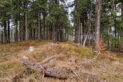 Moravskoslezské Beskydy - Malý Polom