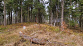 Moravskoslezské Beskydy - Malý Polom