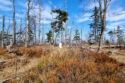 Moravskoslezské Beskydy - Velký Polom
