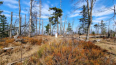 Moravskoslezské Beskydy - Velký Polom