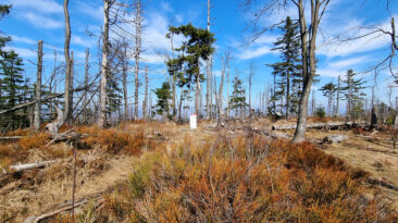 Moravskoslezské Beskydy - Velký Polom