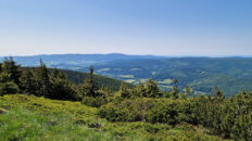 Hrubý Jeseník - Šerák