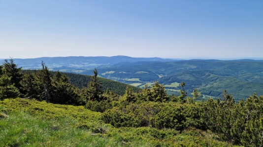 Hrubý Jeseník - Šerák