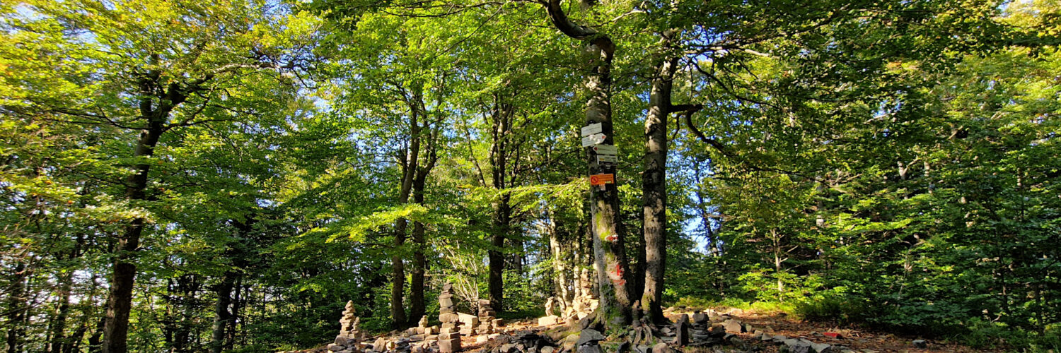 Moravskoslezské Beskydy - Tanečnice