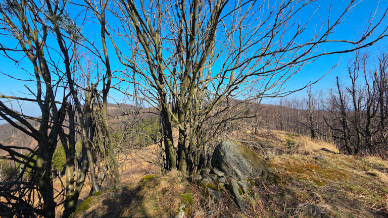 Hostýnsko-vsetínská hornatina - Jehelník Z
